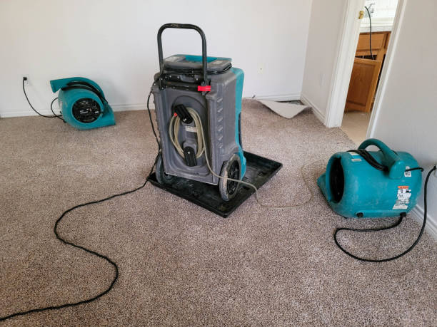 Best Water damage restoration near me  in Haughton, LA
