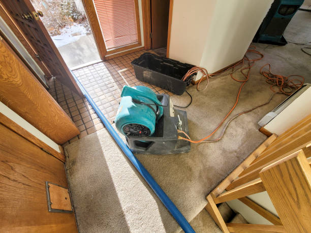 Best 24-hour water damage restoration  in Haughton, LA