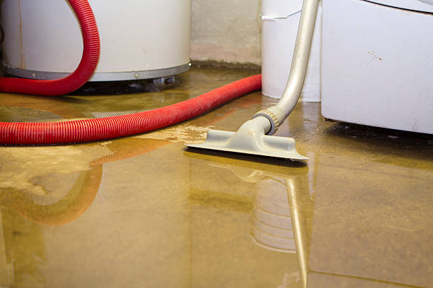 Best Local water damage restoration  in Haughton, LA